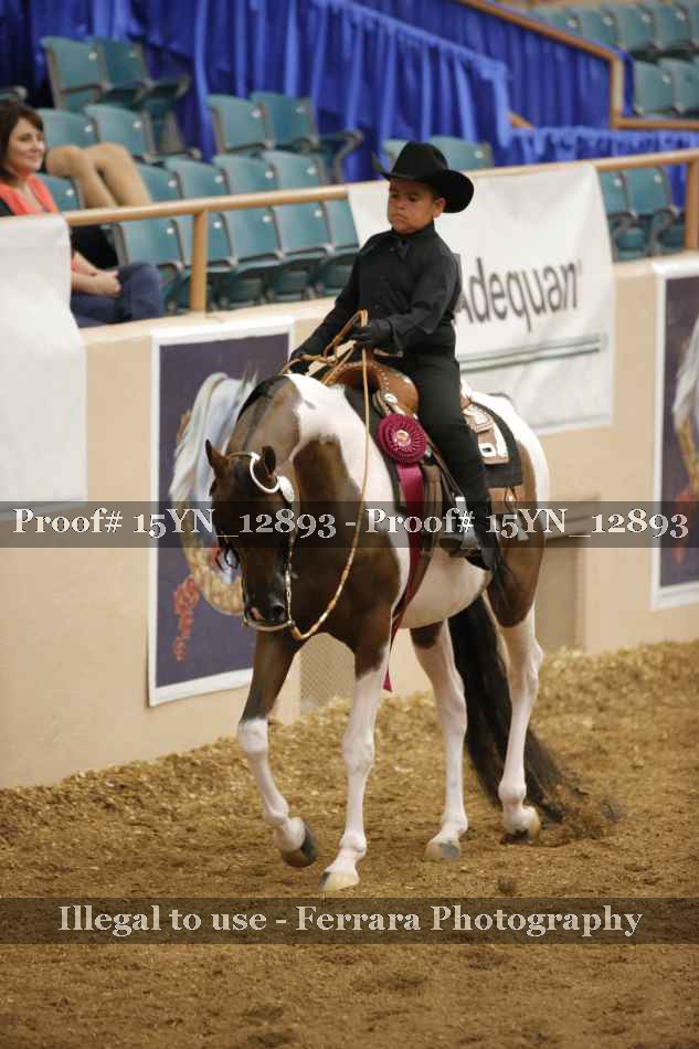 Proof Number 15YN_12893
