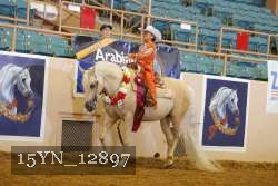 15YN_12897 thumbnail