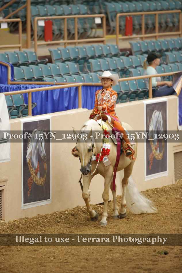 Proof Number 15YN_12903