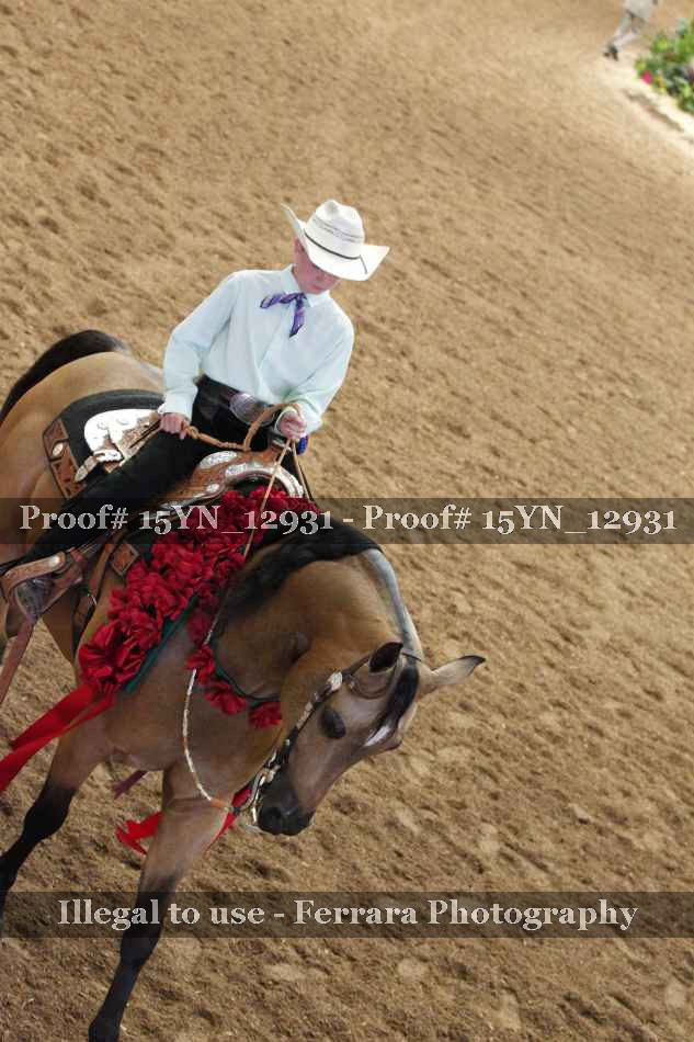 Proof Number 15YN_12931