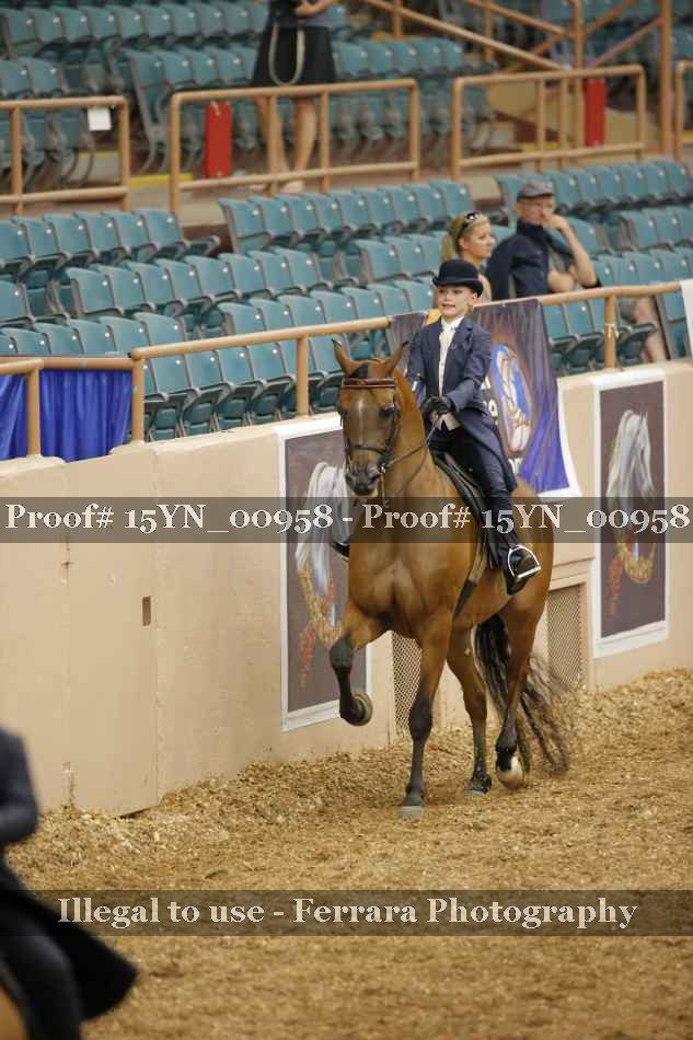 Proof Number 15YN_00958
