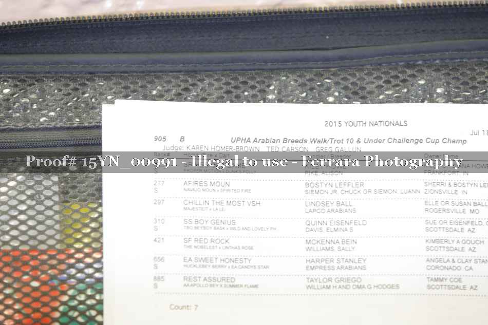 Proof Number 15YN_00991