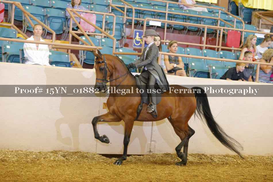 Proof Number 15YN_01882