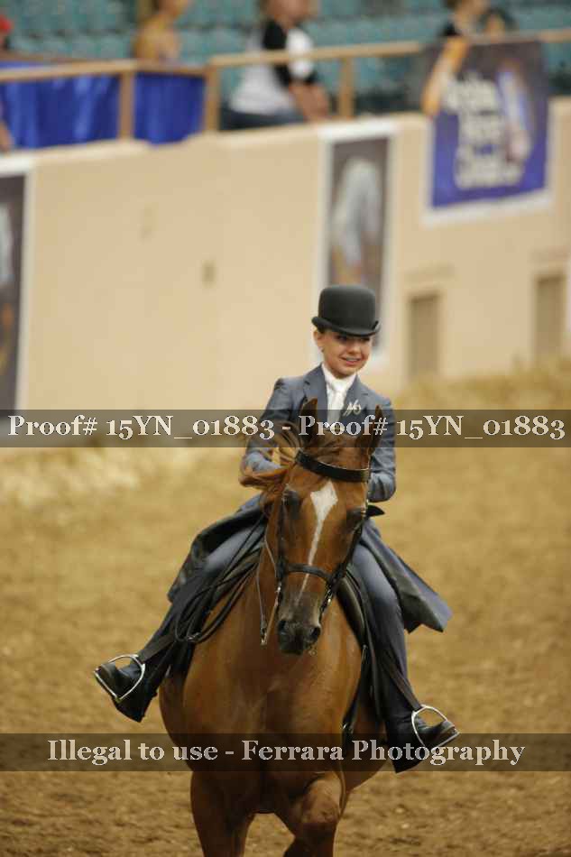 Proof Number 15YN_01883
