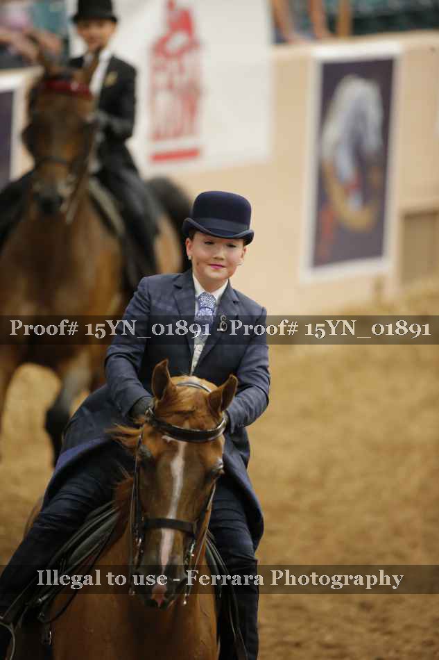 Proof Number 15YN_01891