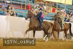 15YN_01893 thumbnail