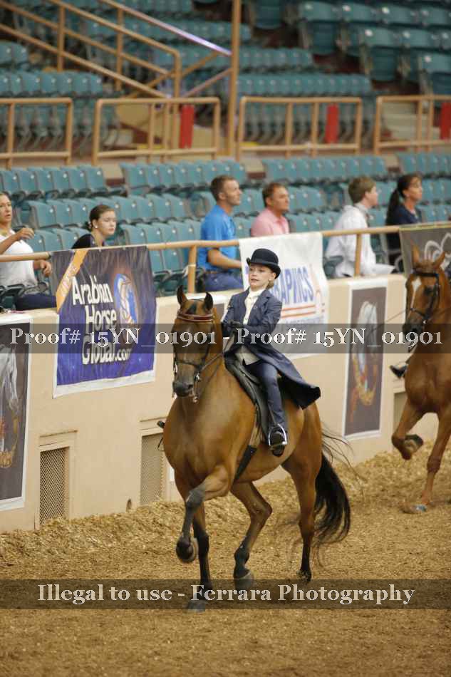 Proof Number 15YN_01901
