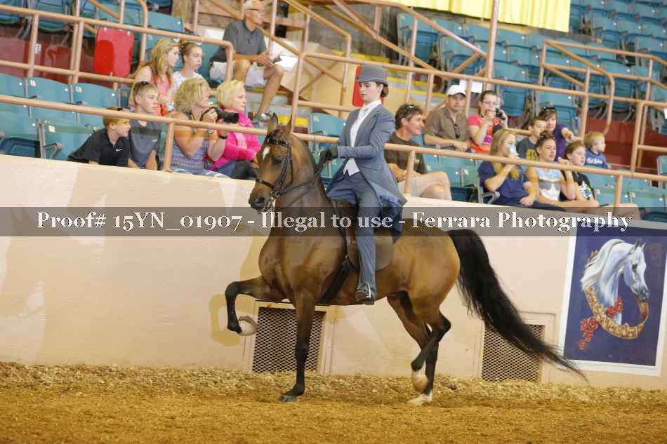 Proof Number 15YN_01907
