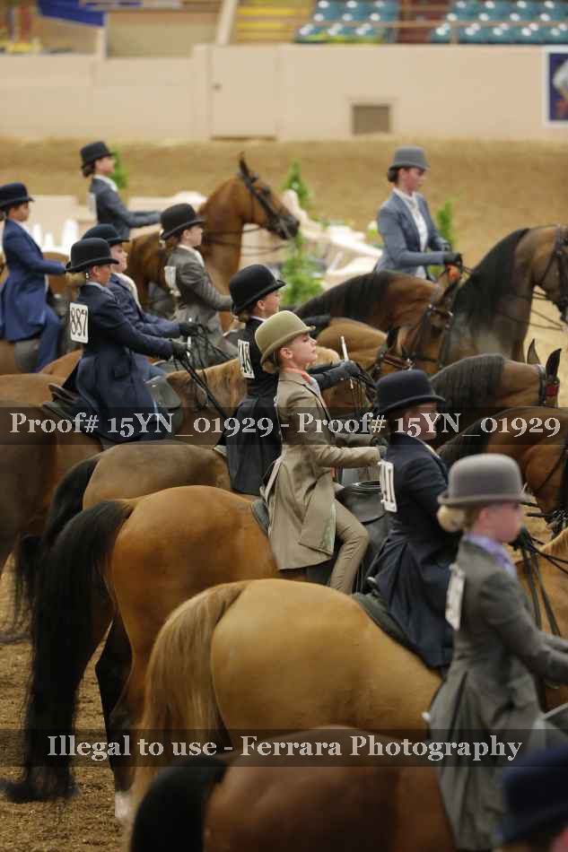 Proof Number 15YN_01929