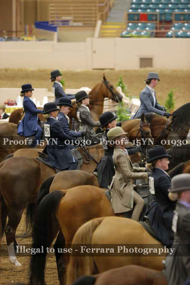 Proof Number 15YN_01930