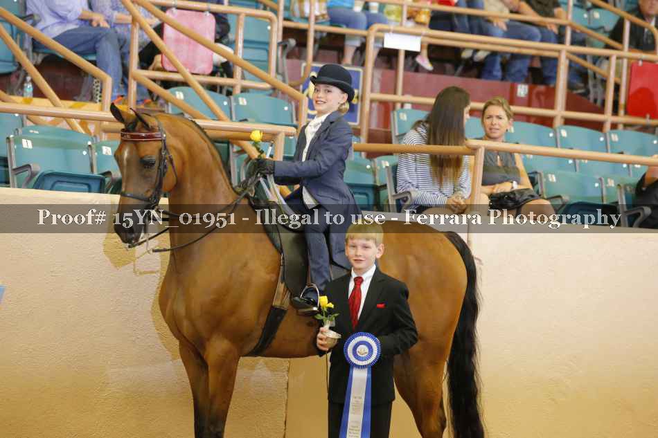 Proof Number 15YN_01951