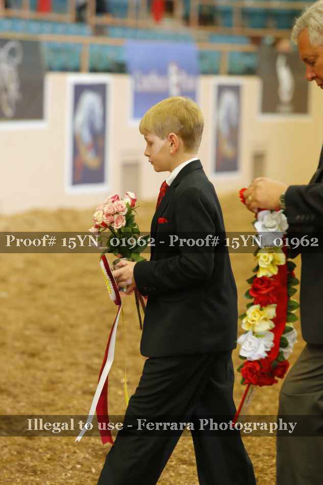 Proof Number 15YN_01962