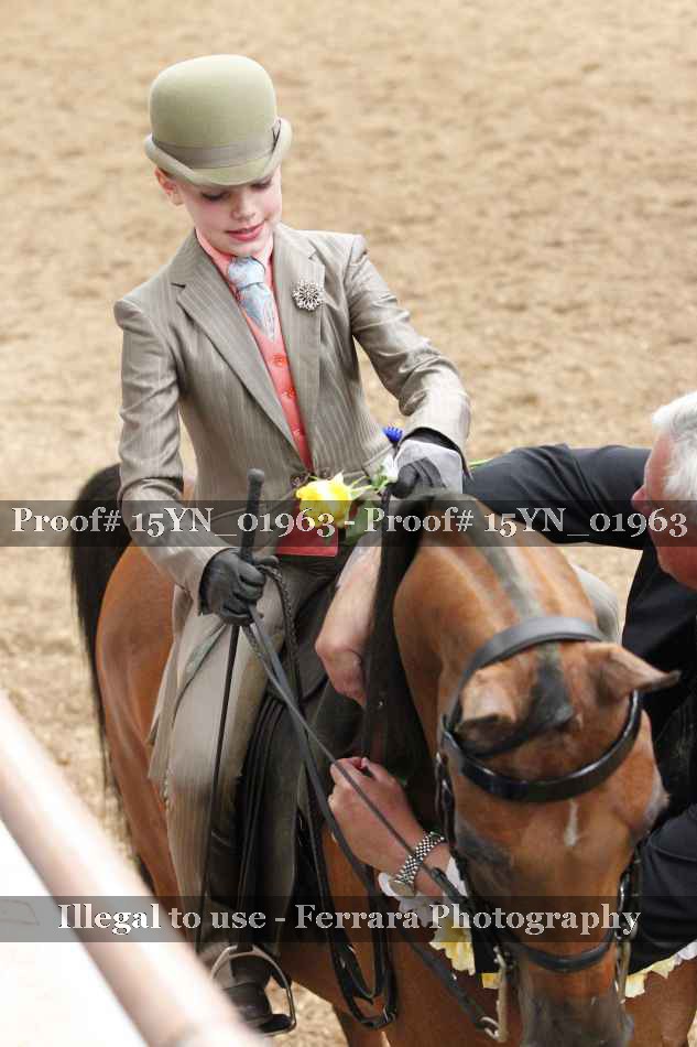 Proof Number 15YN_01963