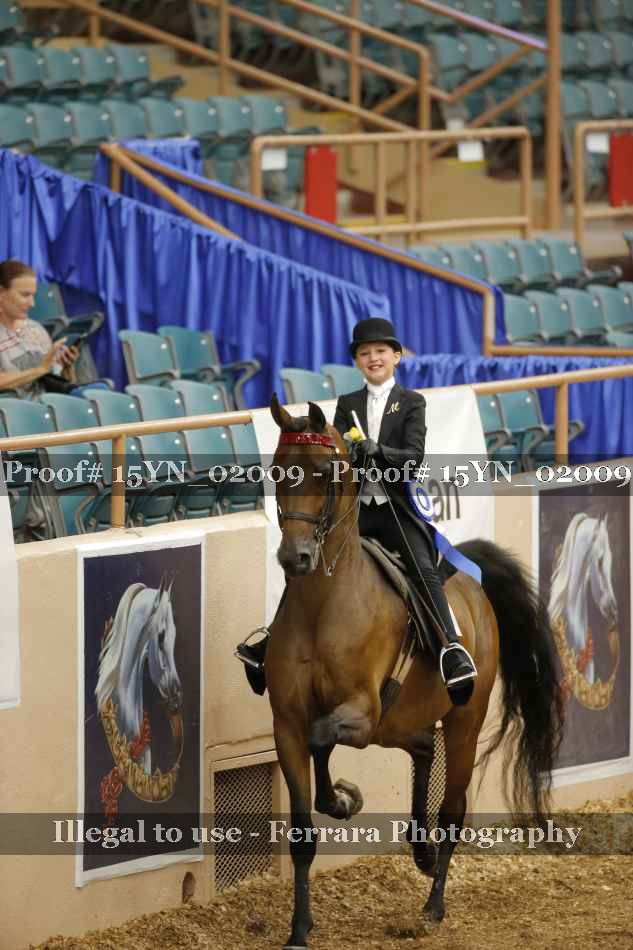 Proof Number 15YN_02009