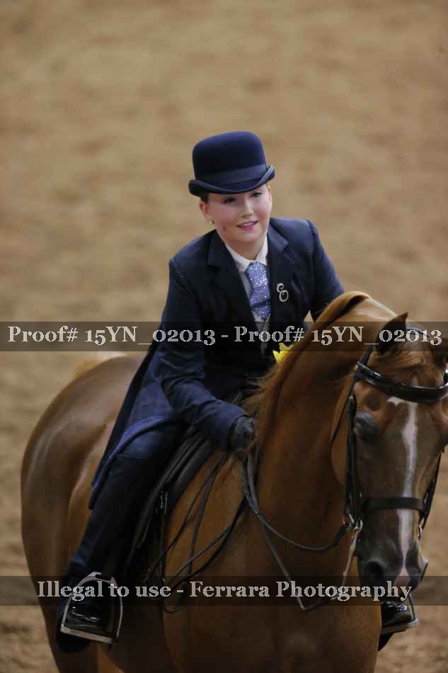 Proof Number 15YN_02013