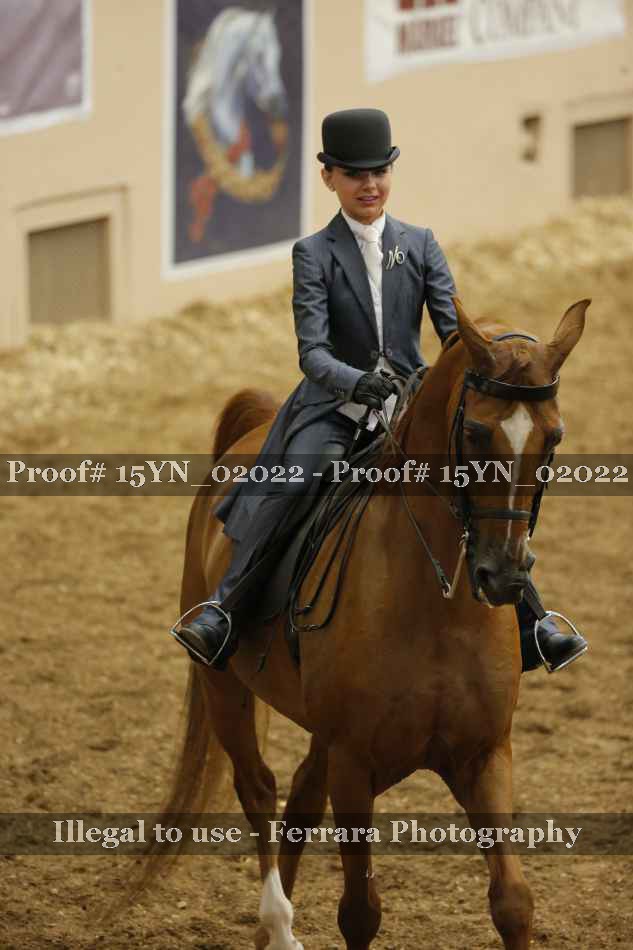 Proof Number 15YN_02022