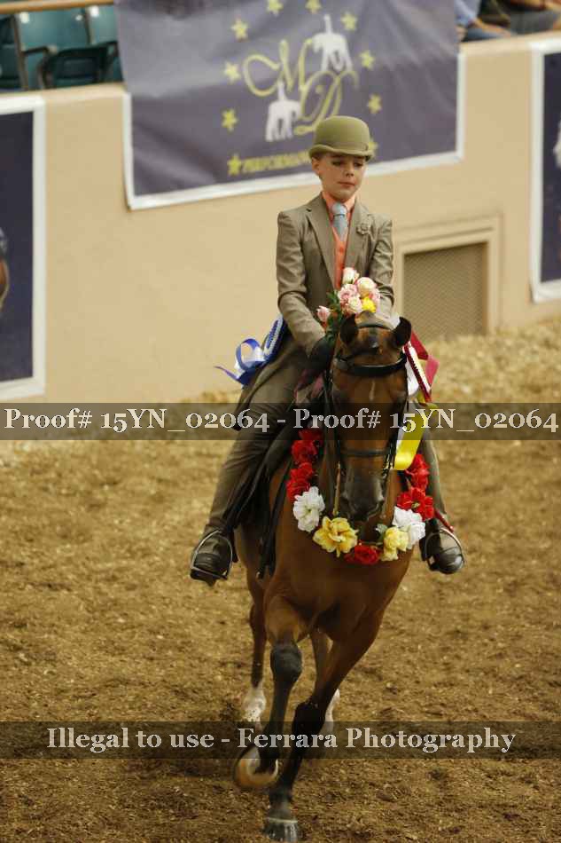 Proof Number 15YN_02064