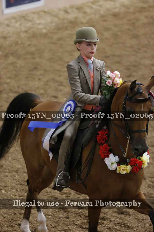 Proof Number 15YN_02065