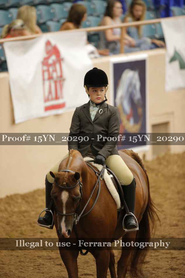 Proof Number 15YN_20290