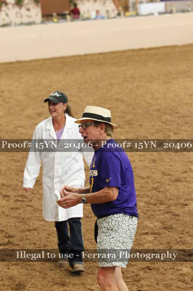 Proof Number 15YN_20406
