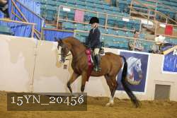 15YN_20456 thumbnail