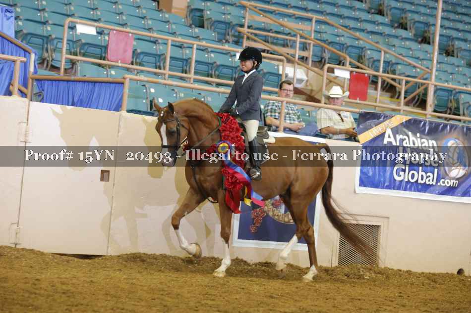 Proof Number 15YN_20493