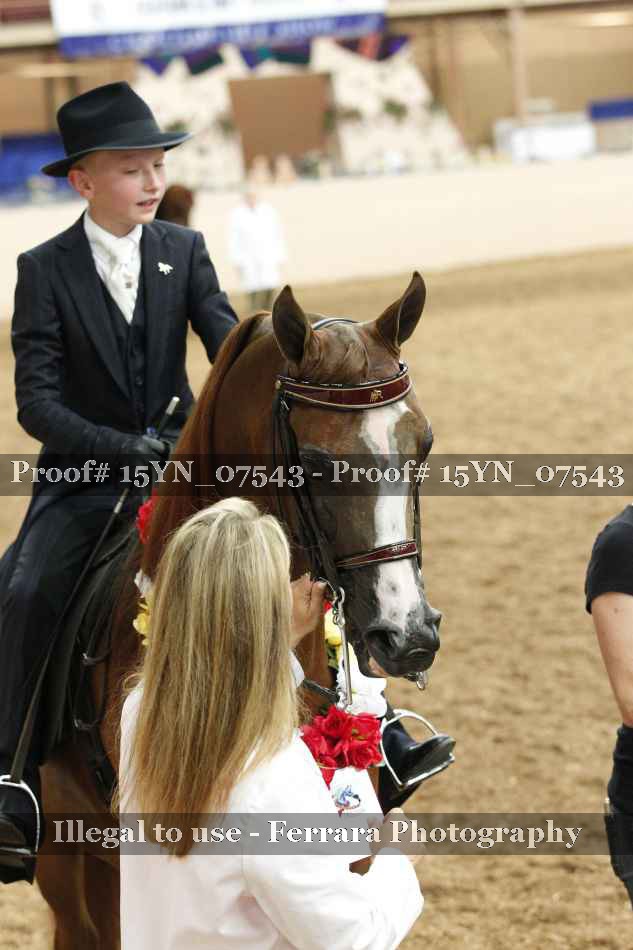 Proof Number 15YN_07543