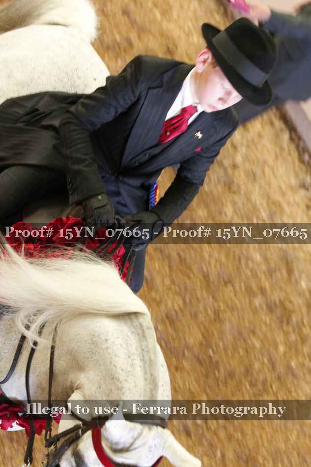 Proof Number 15YN_07665