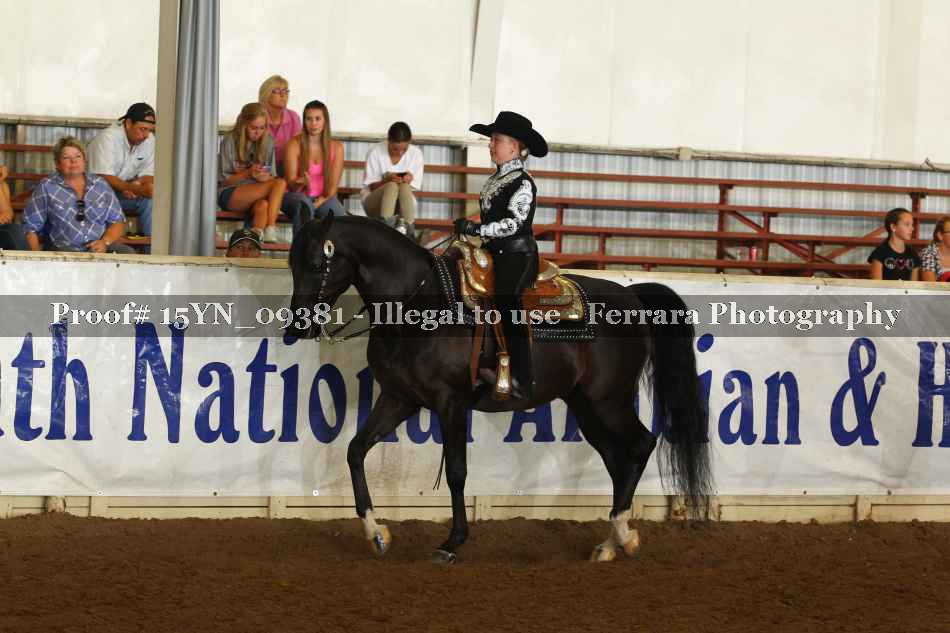 Proof Number 15YN_09381