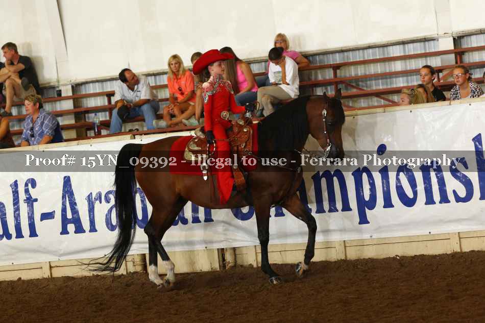 Proof Number 15YN_09392