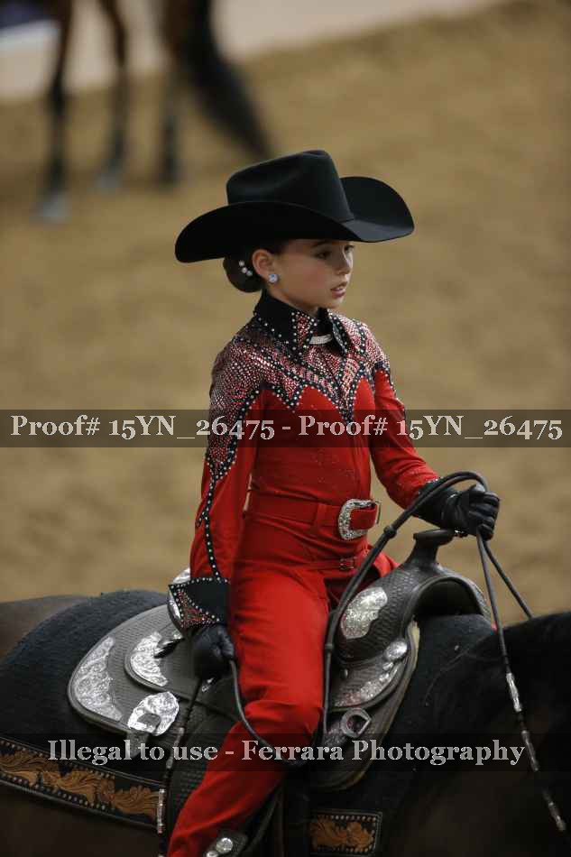 Proof Number 15YN_26475
