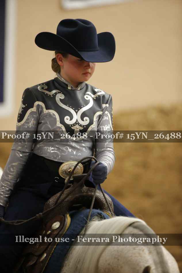 Proof Number 15YN_26488