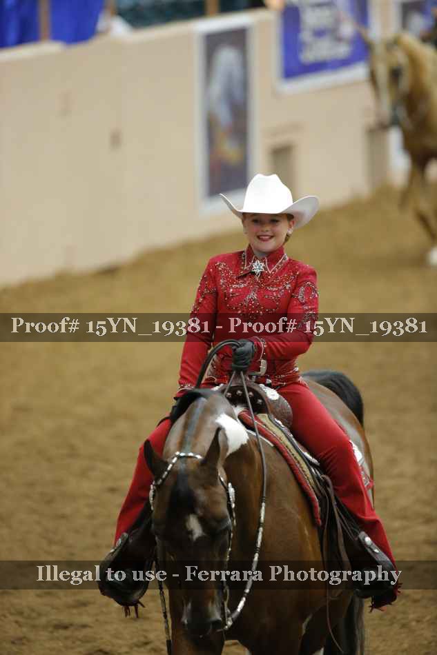 Proof Number 15YN_19381