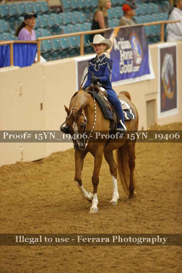 Proof Number 15YN_19406