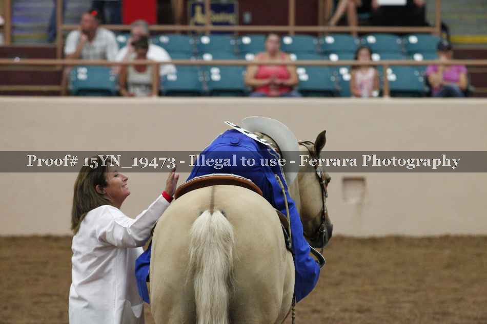 Proof Number 15YN_19473