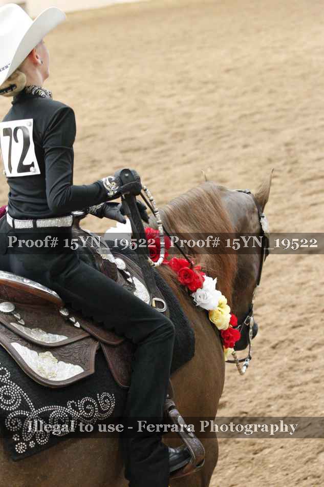 Proof Number 15YN_19522