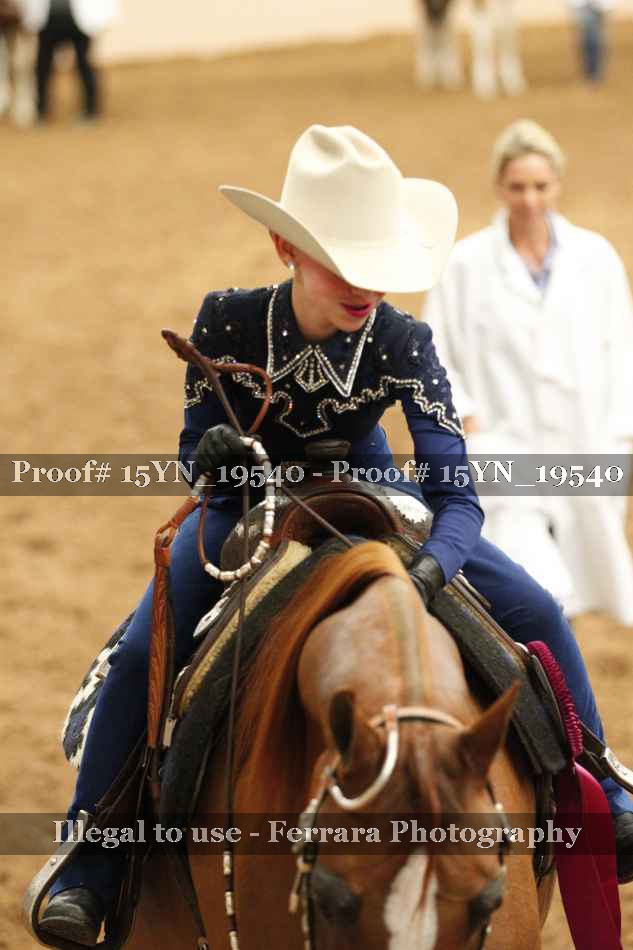 Proof Number 15YN_19540
