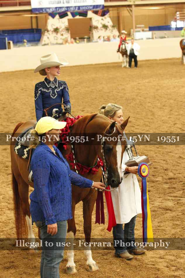 Proof Number 15YN_19551