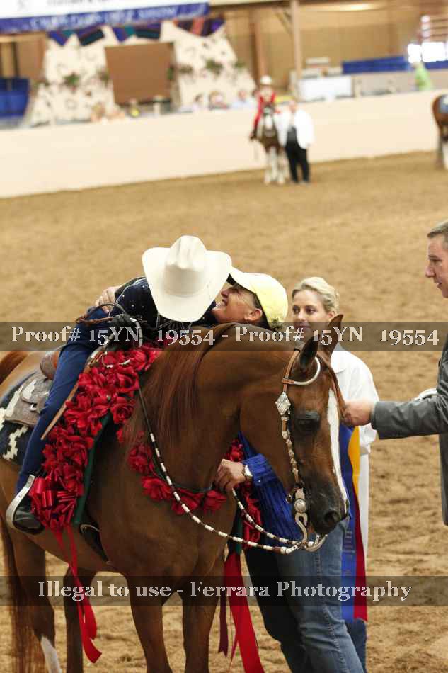 Proof Number 15YN_19554
