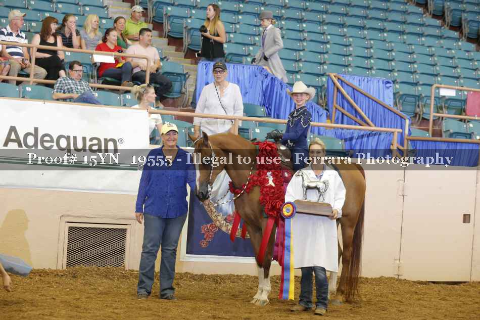 Proof Number 15YN_19555