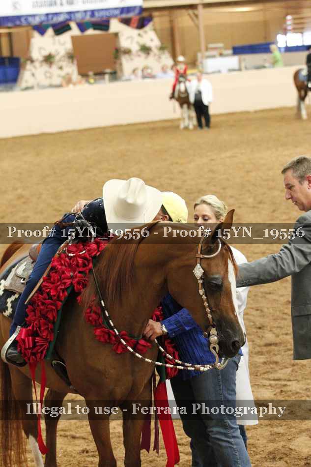 Proof Number 15YN_19556