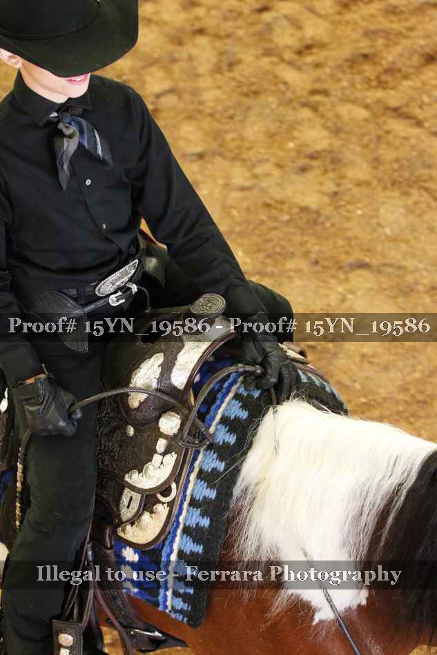 Proof Number 15YN_19586