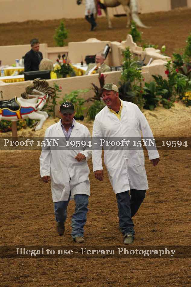 Proof Number 15YN_19594