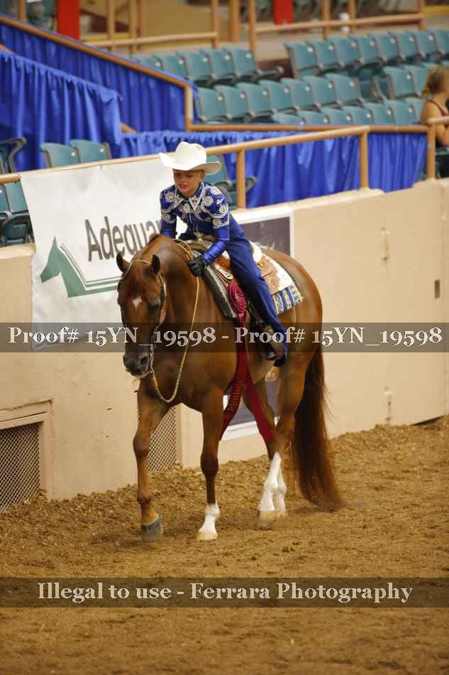 Proof Number 15YN_19598