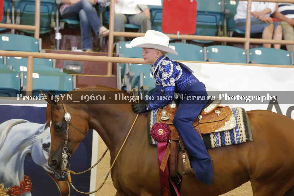 Proof Number 15YN_19601