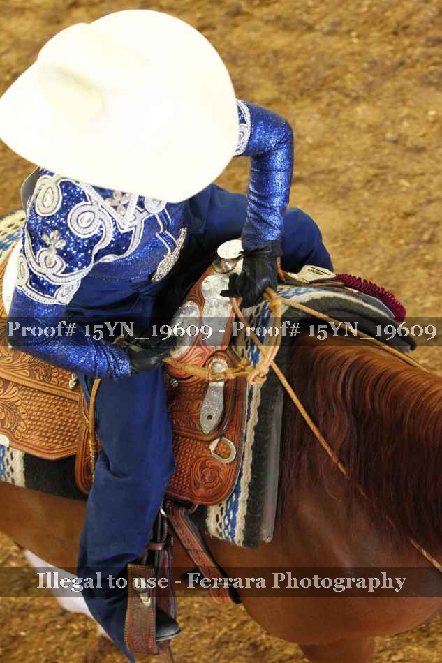 Proof Number 15YN_19609