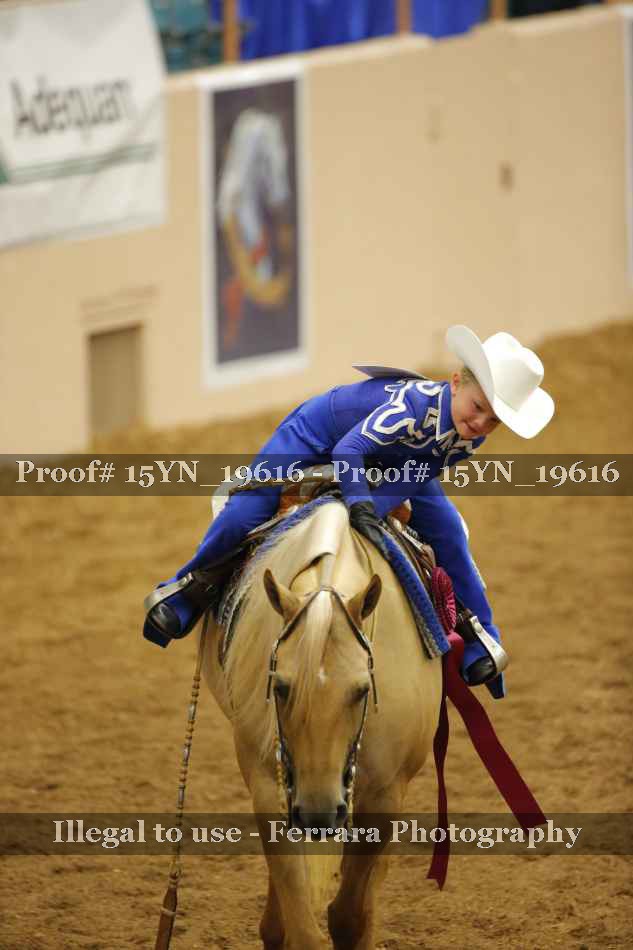 Proof Number 15YN_19616