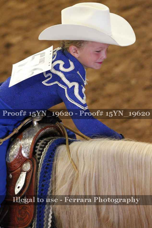 Proof Number 15YN_19620