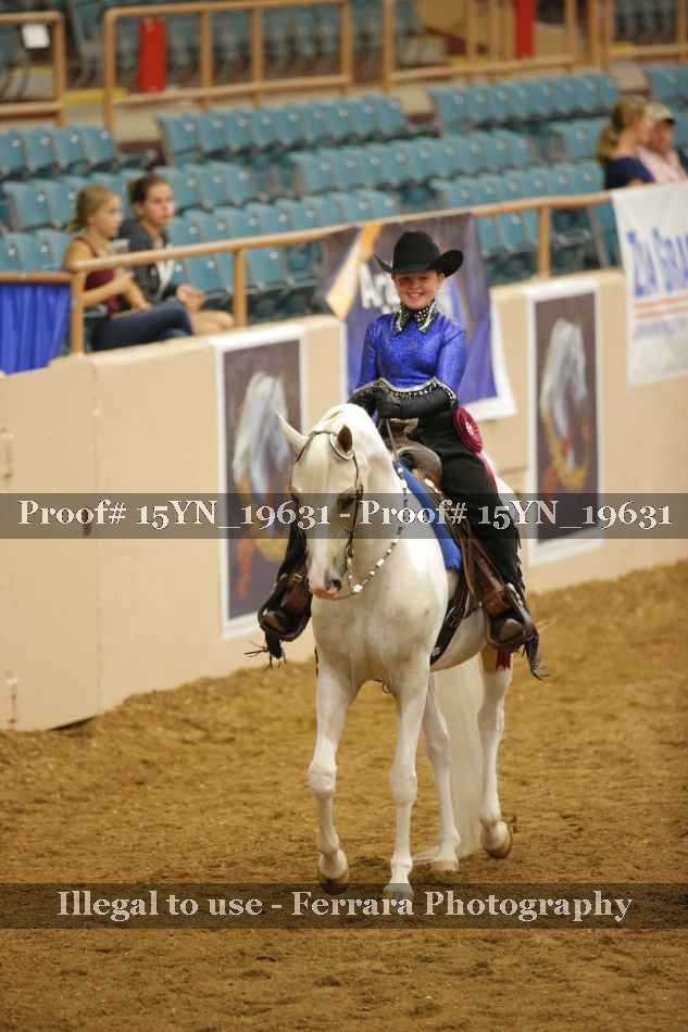 Proof Number 15YN_19631
