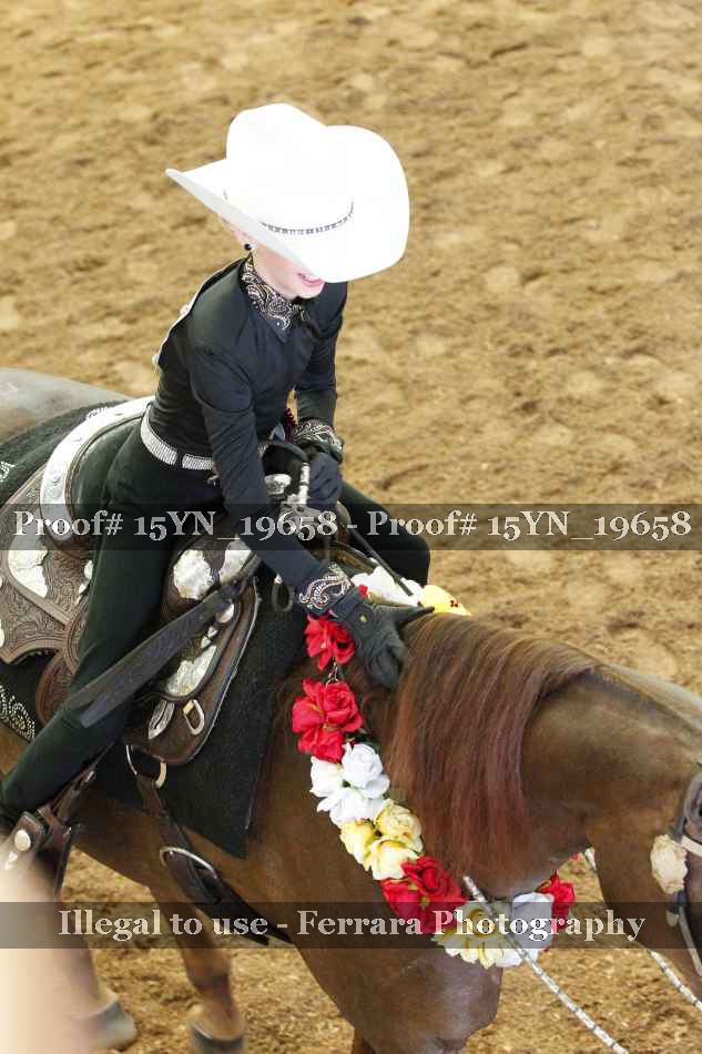 Proof Number 15YN_19658